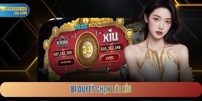 Bí quyết chọn tài xỉu