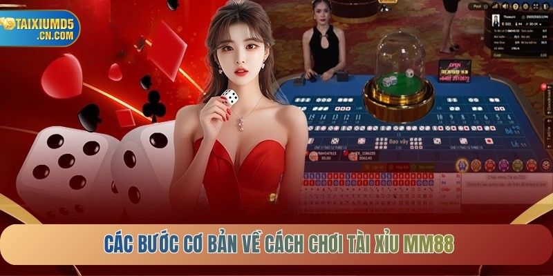 Các bước cơ bản về cách chơi tài xỉu MM88