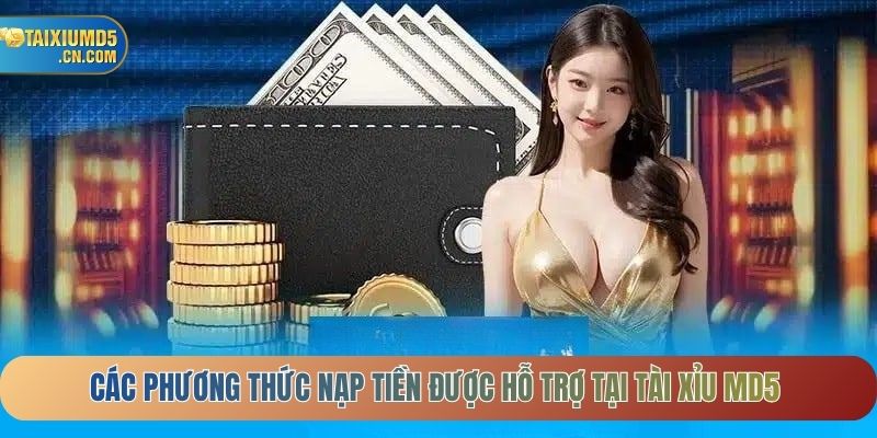 Các phương thức nạp tiền được hỗ trợ tại tài xỉu MD5
