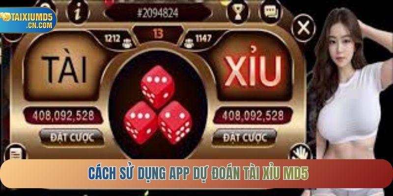 Cách sử dụng App dự đoán tài xỉu MD5