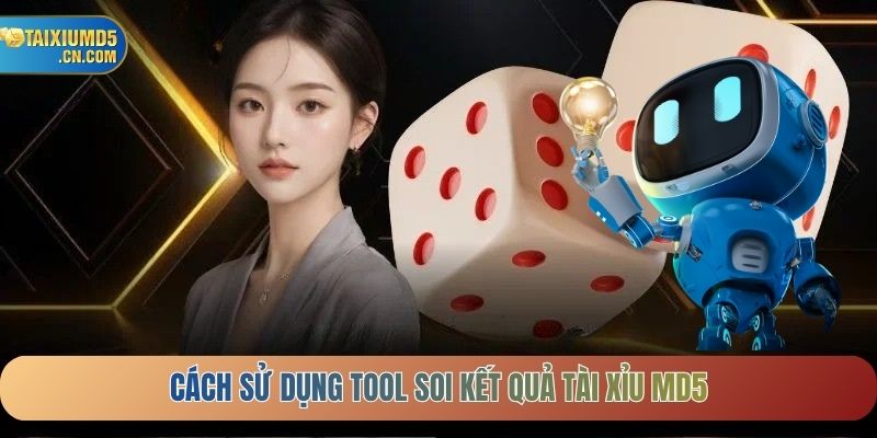 Cách sử dụng Tool soi kết quả Tài xỉu MD5