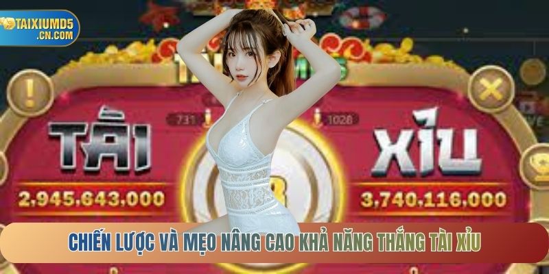 Chiến lược và mẹo nâng cao khả năng thắng Tài Xỉu