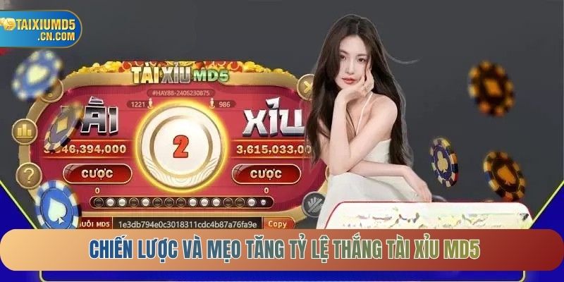 Chiến lược và mẹo tăng tỷ lệ thắng Tài xỉu MD5