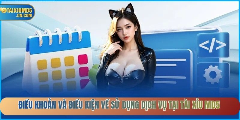 Điều khoản và điều kiện về sử dụng dịch vụ tài xỉu MD5