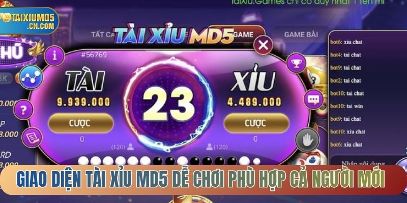 Giao diện tài xỉu MD5 dễ chơi phù hợp cả người mới