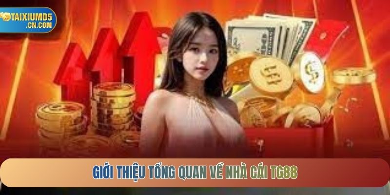 Giới thiệu tổng quan về nhà cái TG88