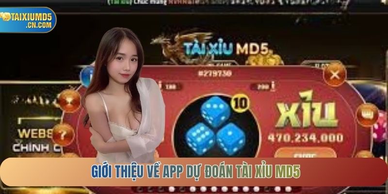 Giới thiệu về App dự đoán Tài xỉu MD5