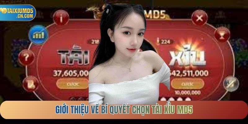 Giới thiệu về bí quyết chọn Tài xỉu MD5