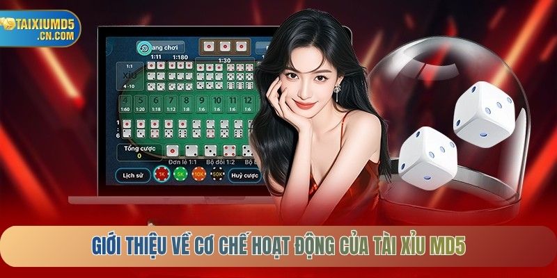 Giới thiệu về cơ chế hoạt động của Tài Xỉu MD5