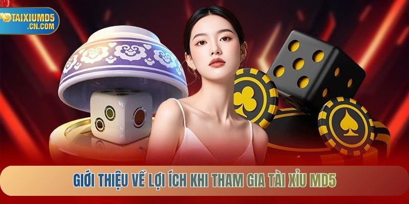 Giới thiệu về lợi ích khi tham gia Tài Xỉu MD5