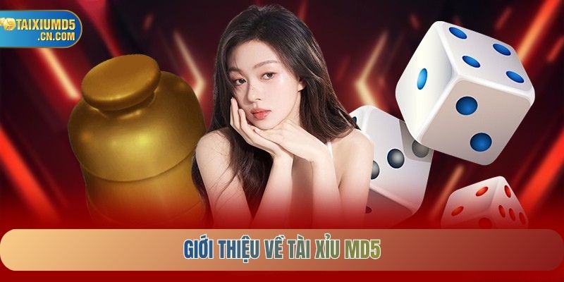 Giới thiệu về Tài Xỉu MD5