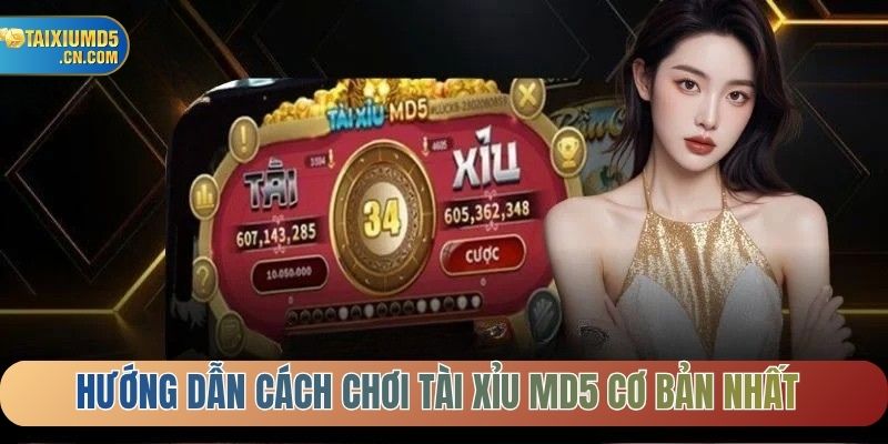 Hướng dẫn cách chơi tài xỉu MD5 cơ bản nhất