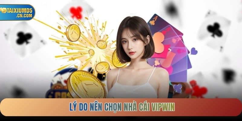Lý do nên lựa chọn nhà cái VIPWIN