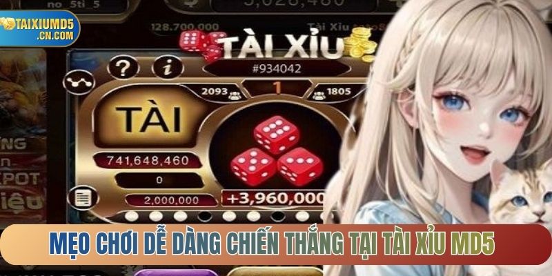 Mẹo chơi dễ dàng chiến thắng tại Tài Xỉu MD5