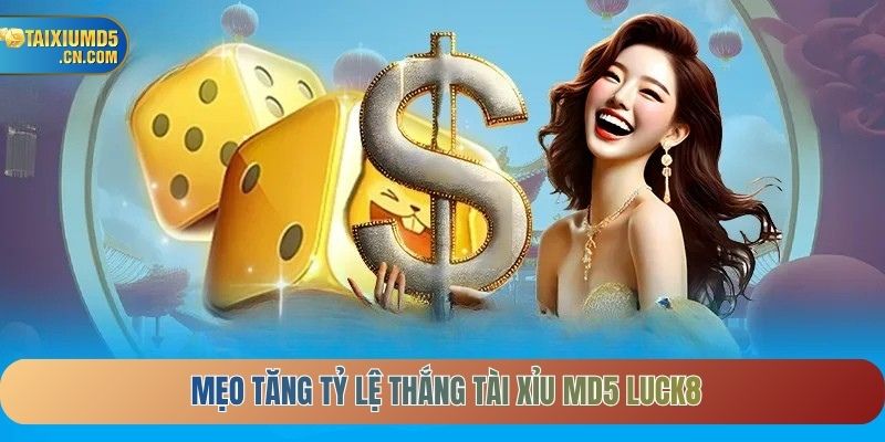 Mẹo tăng tỷ lệ thắng Tài xỉu MD5 Luck8