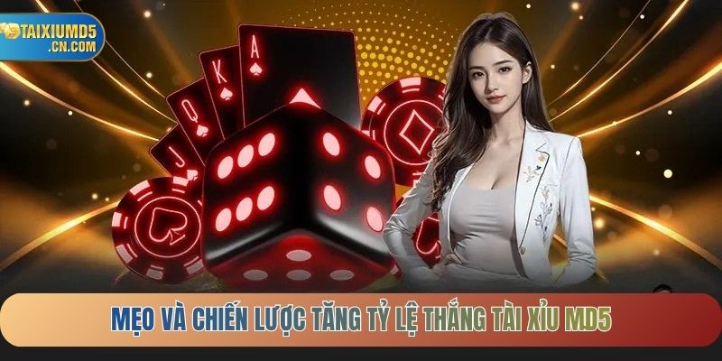 Mẹo và chiến lược tăng tỷ lệ thắng Tài xỉu MD5