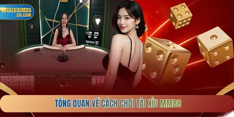 Tổng quan về cách chơi tài xỉu MM88