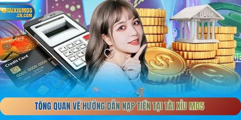 Tổng quan về hướng dẫn nạp tiền tại tài xỉu MD5