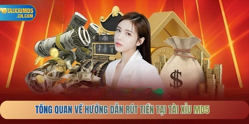 Tổng quan về hướng dẫn rút tiền tại tài xỉu MD5