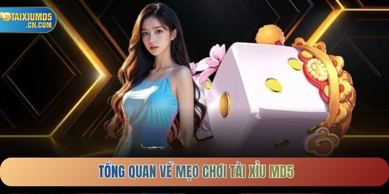Tổng quan về mẹo chơi Tài Xỉu MD5
