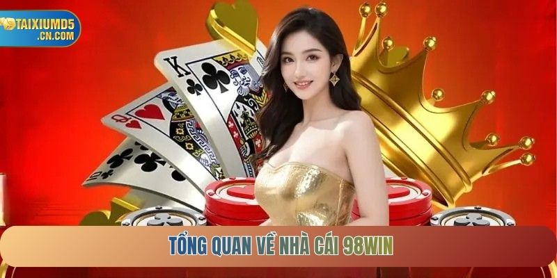 Tổng quan về nhà cái 98WIN