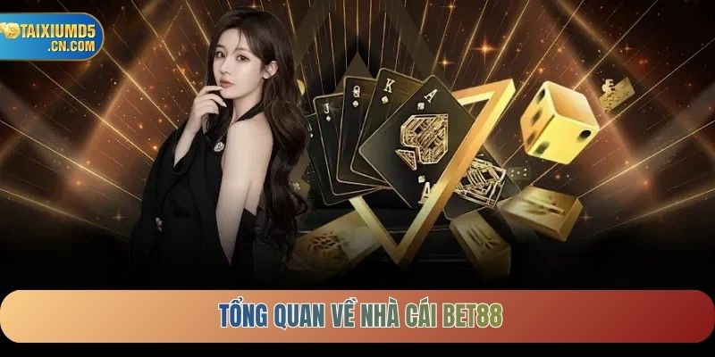 Tổng quan về Nhà cái BET88
