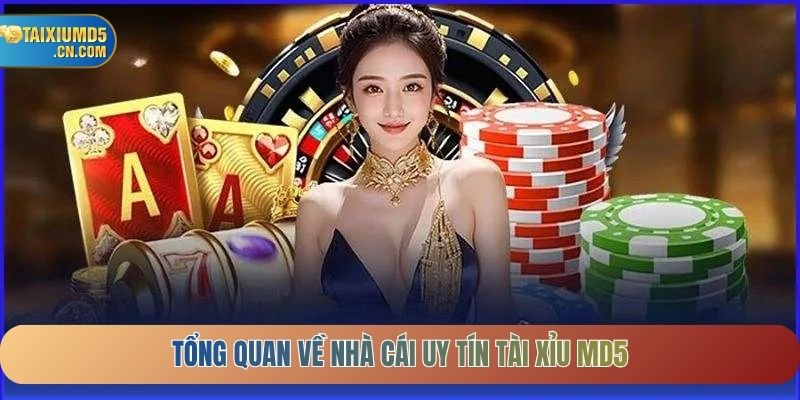 Tổng quan về nhà cái uy tín Tài Xỉu MD5