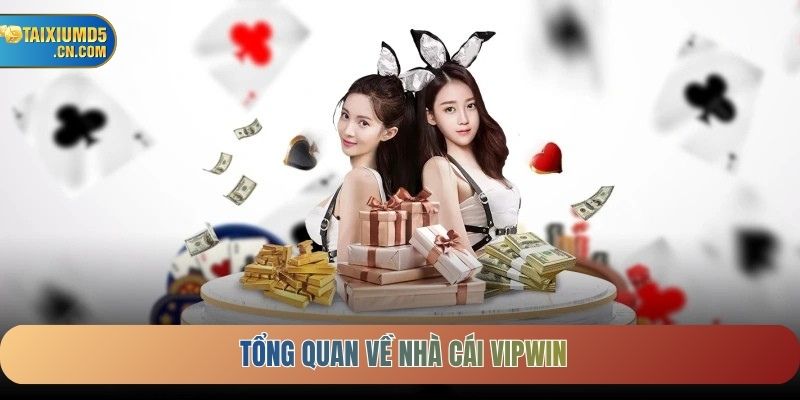 Tổng quan về nhà cái VIPWIN