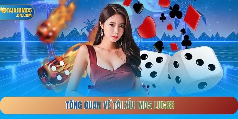 Tổng quan về Tài xỉu MD5 Luck8